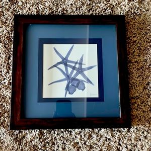 NWT blue Kirklands seashell print